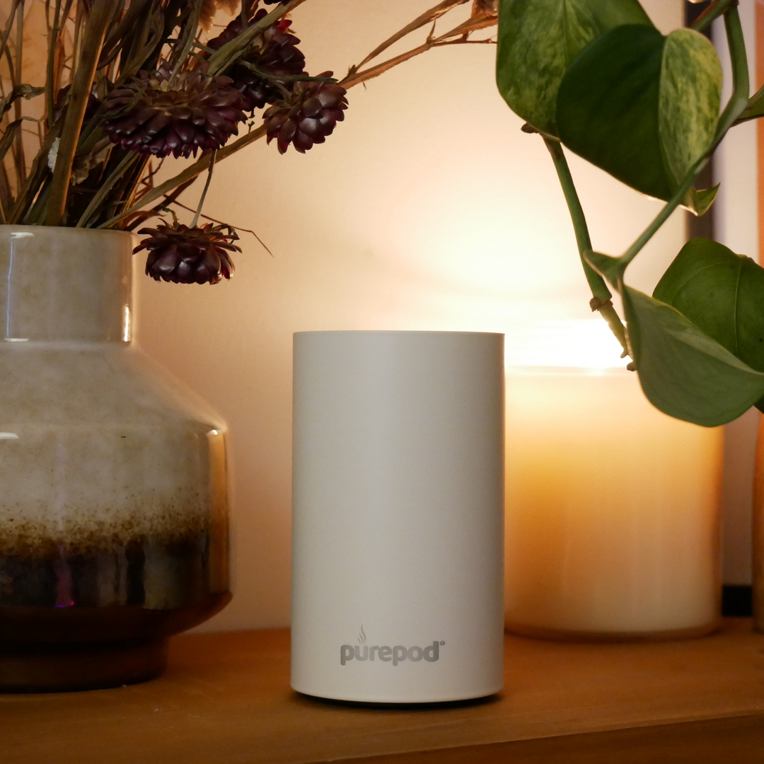 White PurePod home diffuser on a wooden shelf with dried flowers